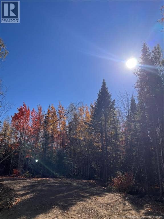 Lot Bells Mills Road — photo 1 of 24