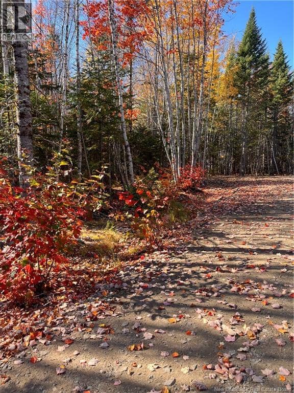 Lot Bells Mills Road — photo 11 of 24