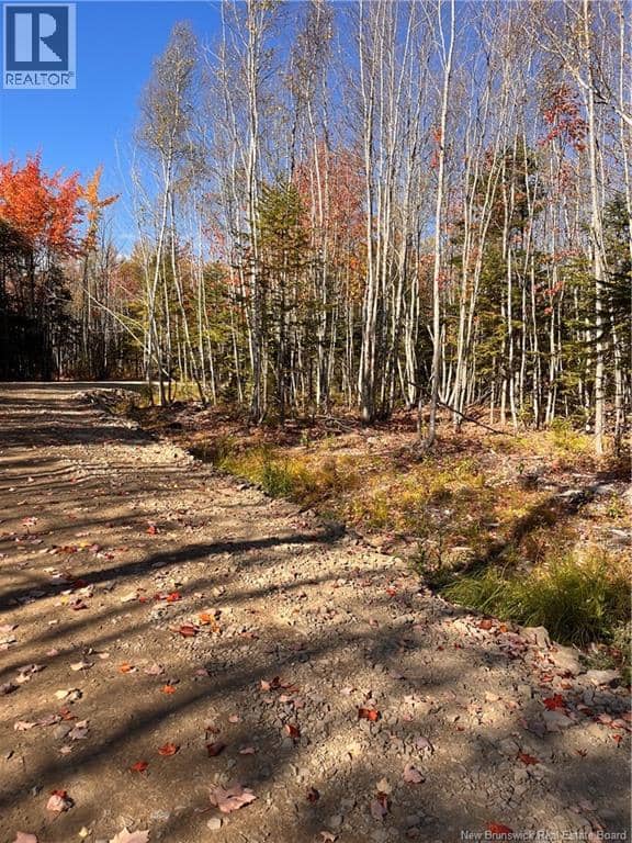 Lot Bells Mills Road — photo 12 of 24
