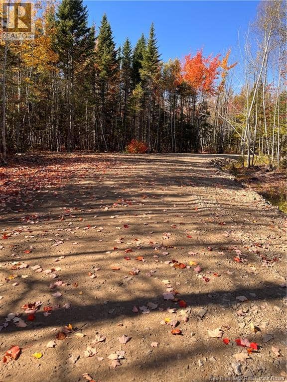 Lot Bells Mills Road — photo 13 of 24