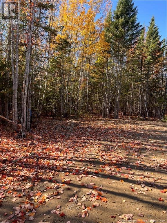 Lot Bells Mills Road — photo 14 of 24