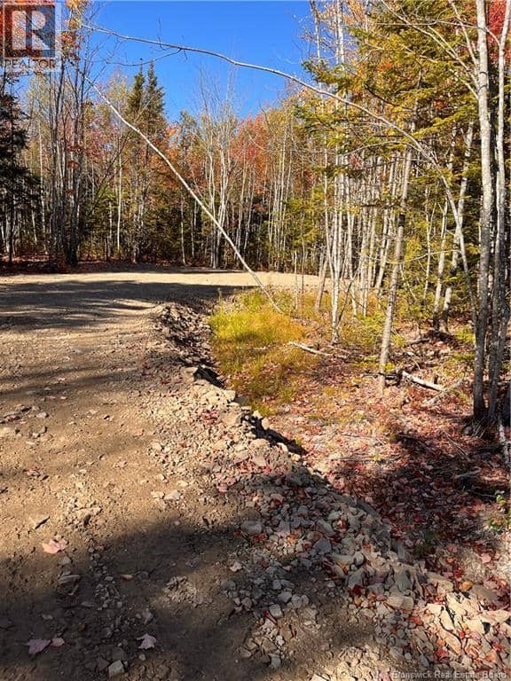 Lot Bells Mills Road — photo 16 of 24
