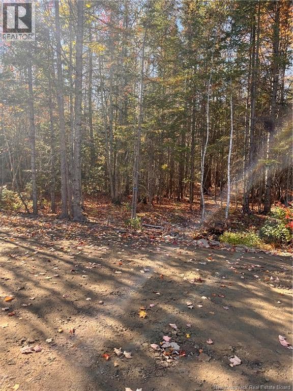Lot Bells Mills Road — photo 18 of 24