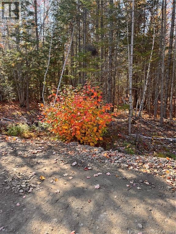 Lot Bells Mills Road — photo 19 of 24