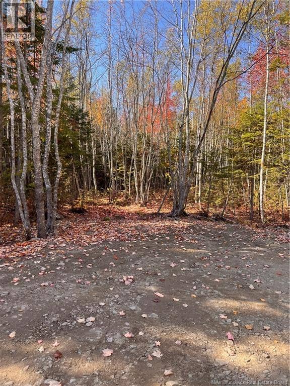 Lot Bells Mills Road — photo 21 of 24