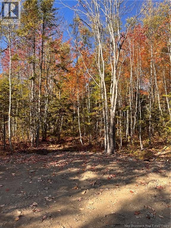 Lot Bells Mills Road — photo 22 of 24