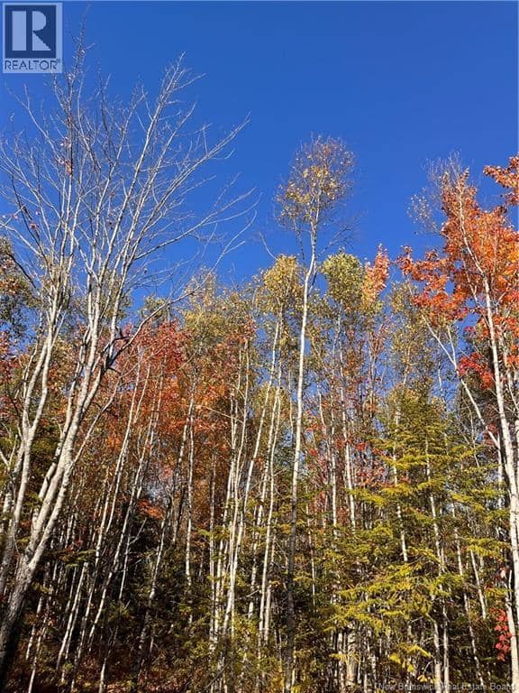 Lot Bells Mills Road — photo 23 of 24