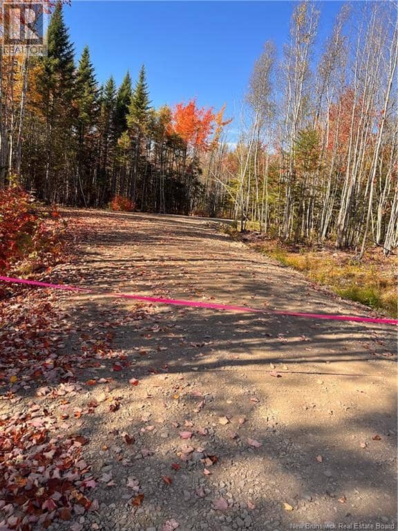 Lot Bells Mills Road — photo 4 of 24