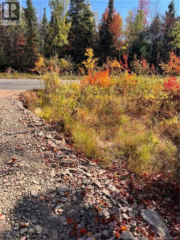 Lot Bells Mills Road — photo 5 of 24