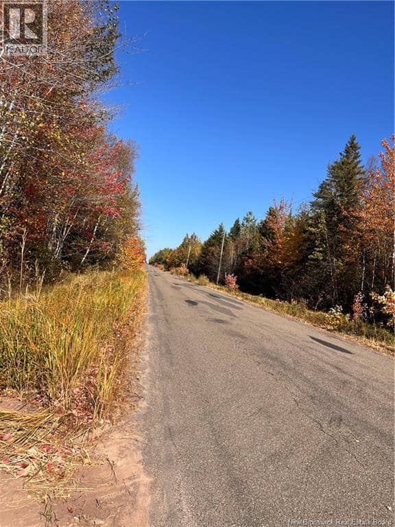Lot Bells Mills Road — photo 6 of 24