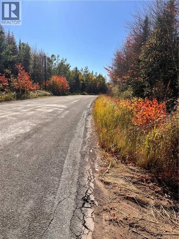 Lot Bells Mills Road — photo 7 of 24