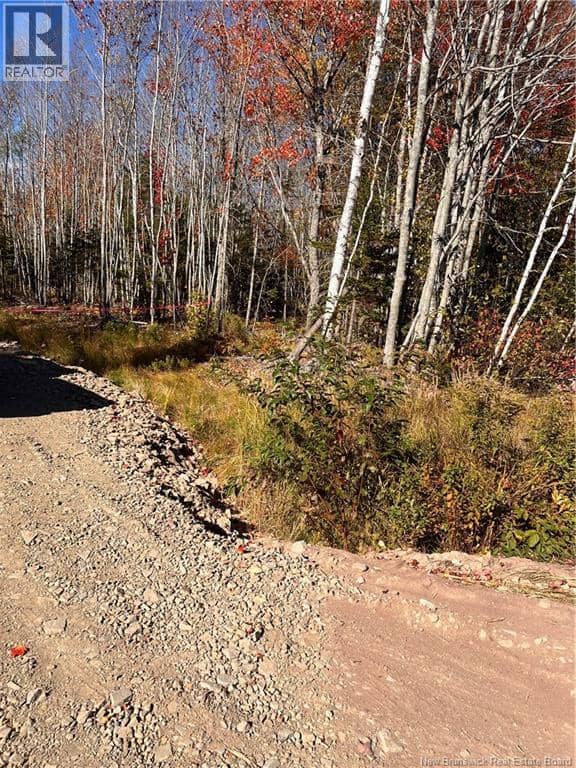 Lot Bells Mills Road — photo 8 of 24
