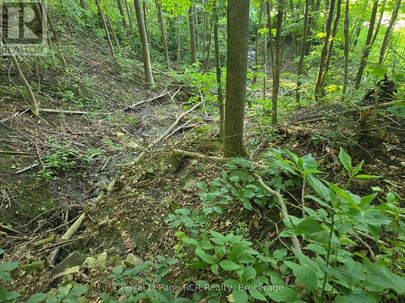 126 Old Highway 26 Highway — photo 6 of 7