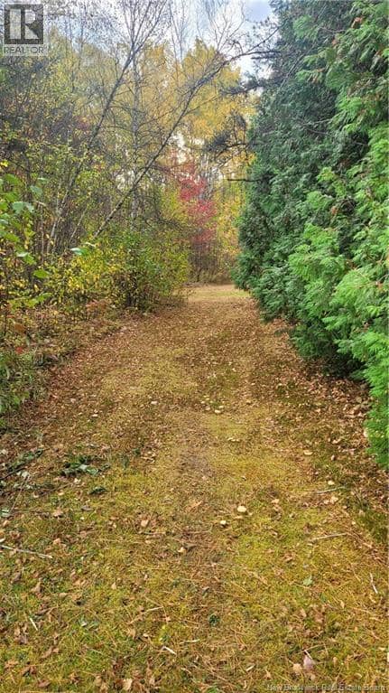 0 Rte 118 — photo 5 of 7