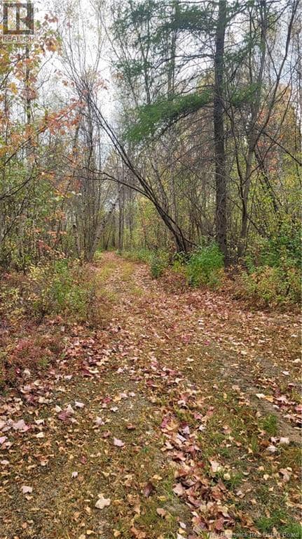 0 Rte 118 — photo 6 of 7