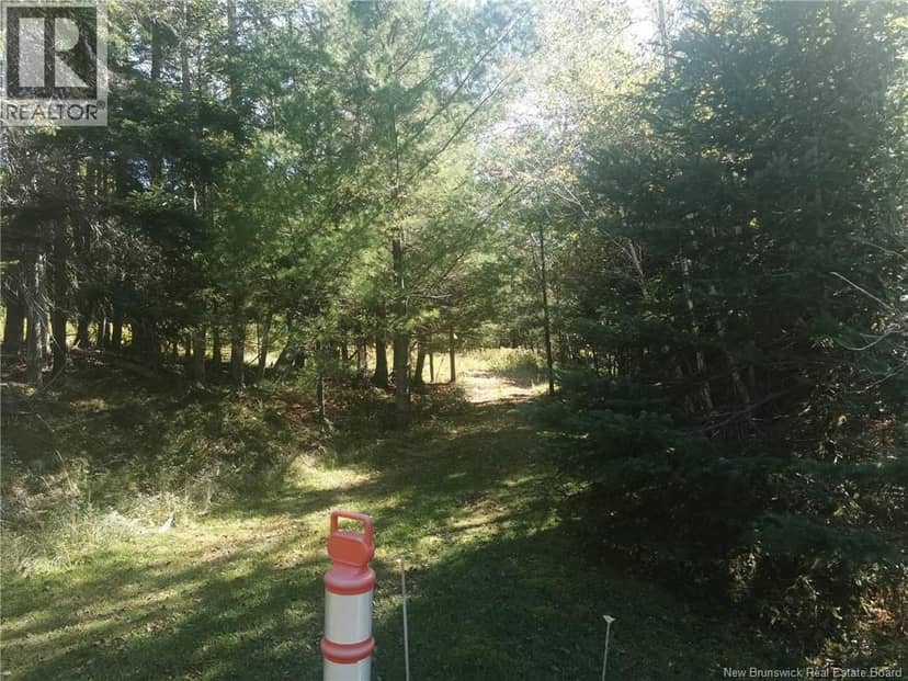 32 Moran Lane — photo 4 of 4