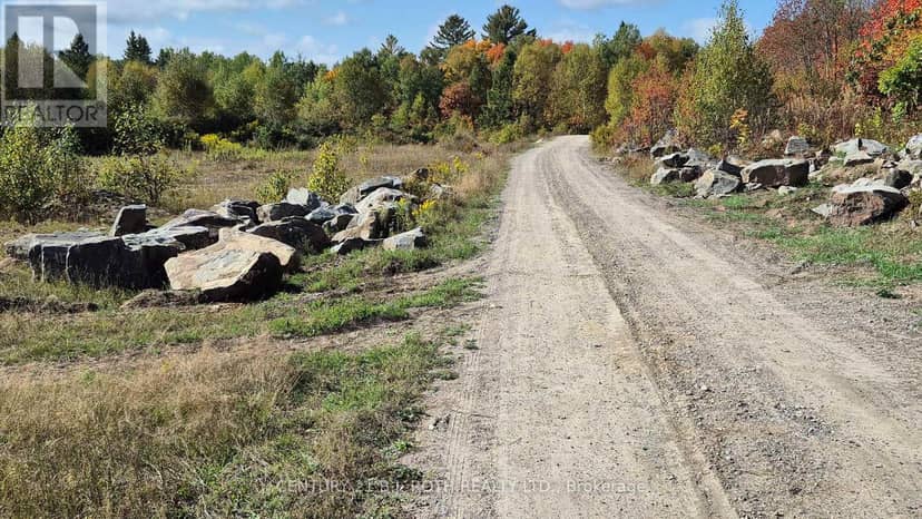Pt Lt 147 Con A Lount Rye Rye Road — photo 24 of 29