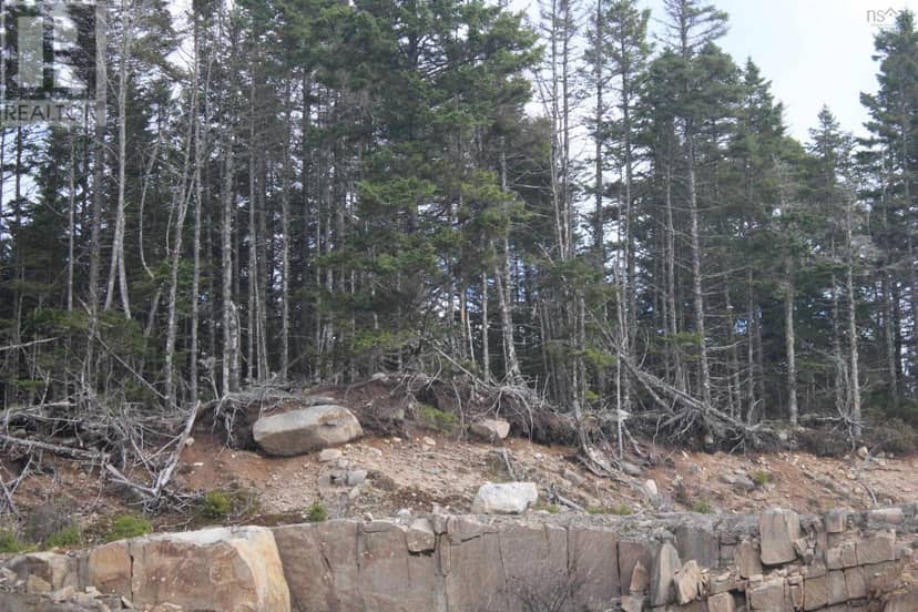 Lot Highway 103 — photo 9 of 17