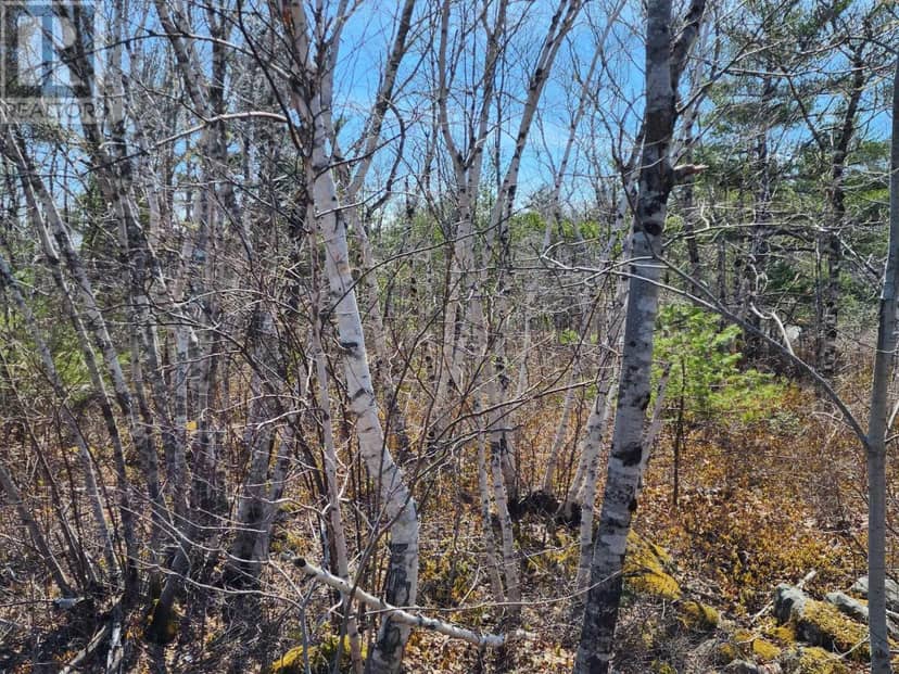 Medway Harbour Road — photo 10 of 11