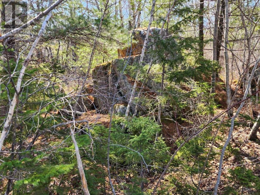 Medway Harbour Road — photo 8 of 11