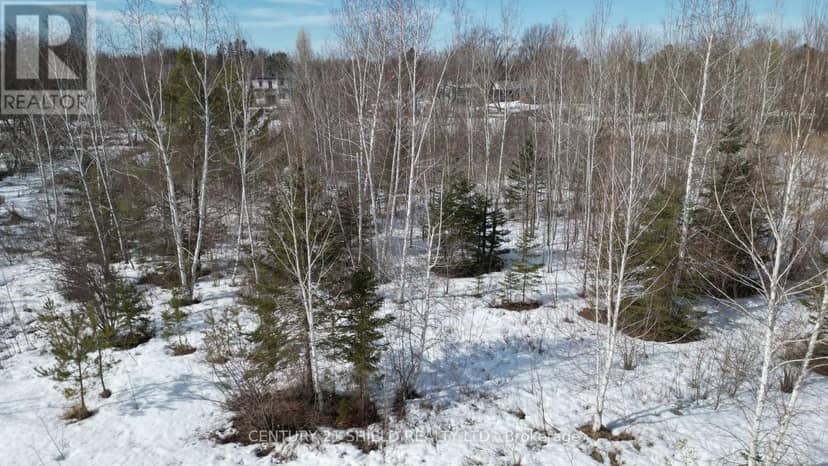 21963 Sauve Street, North Glengarry, photo 7