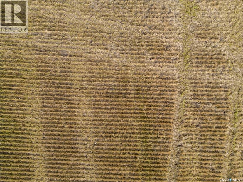 2,880 Acre Farm With Yard - Grayson — photo 9 of 40