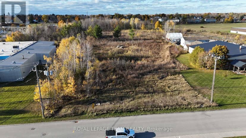 50 Lorne Street — photo 2 of 7
