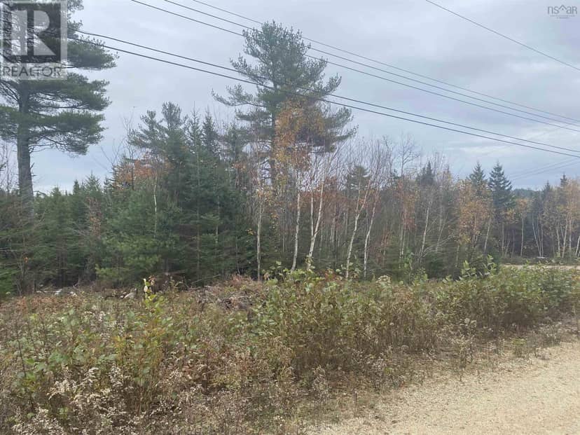 Lot 20 Noonan Lake Lane, Simms Settlement