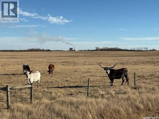 Kot Ranch — photo 37 of 37