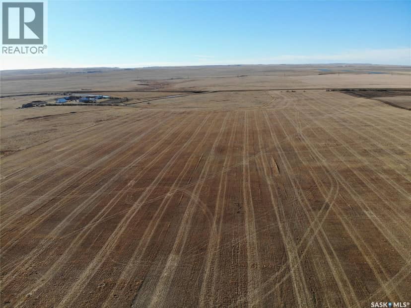 Kot Ranch — photo 10 of 37