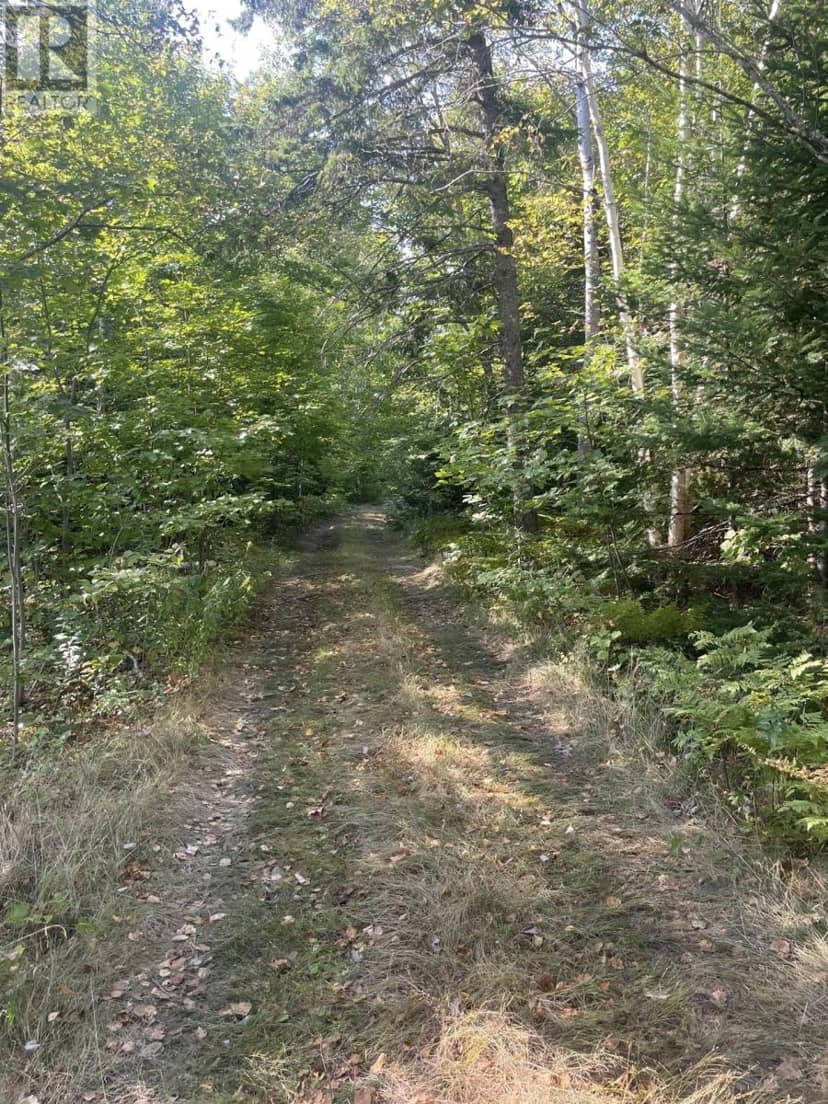 Old Mulgrave Road — photo 2 of 2