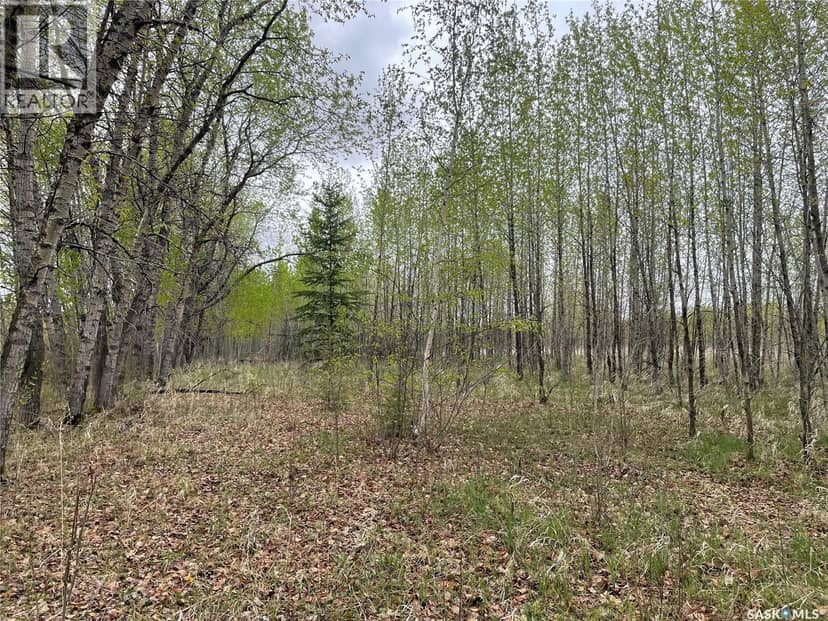 5.5km South of Dorintosh Lot 4, Meadow Lake Rm No.588, photo 2