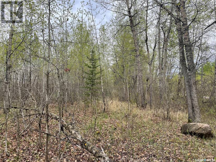 5.5km South of Dorintosh Lot 4, Meadow Lake Rm No.588, photo 3