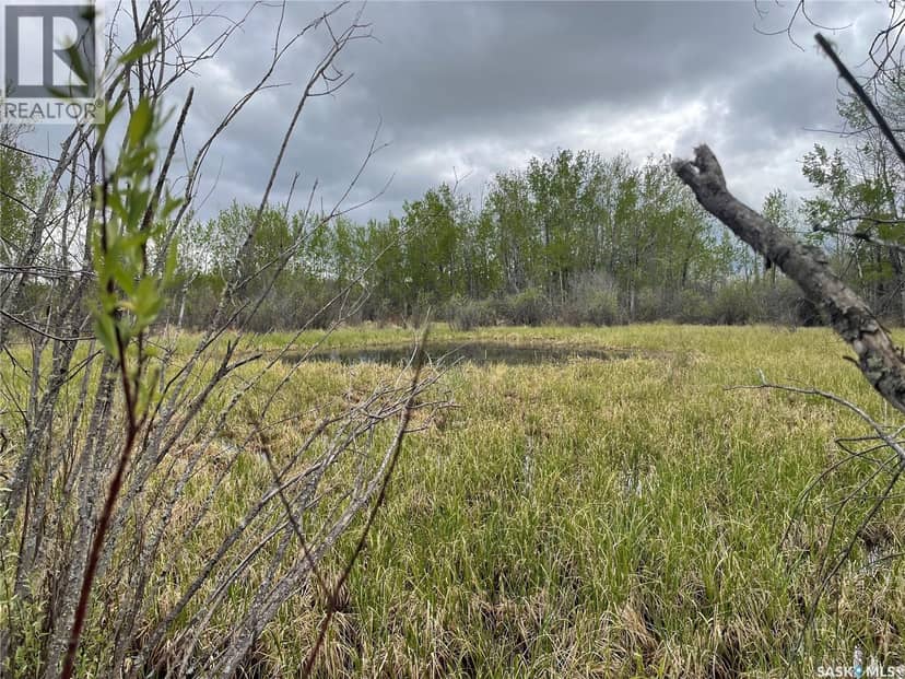 5.5km South of Dorintosh Lot 2 — photo 10 of 12
