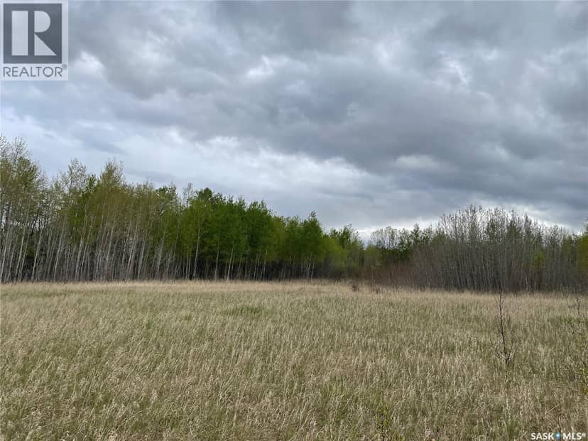 5.5km South of Dorintosh Lot 2 — photo 6 of 12