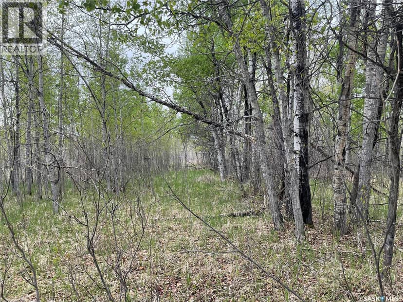 5.5km South of Dorintosh Lot 2 — photo 7 of 12