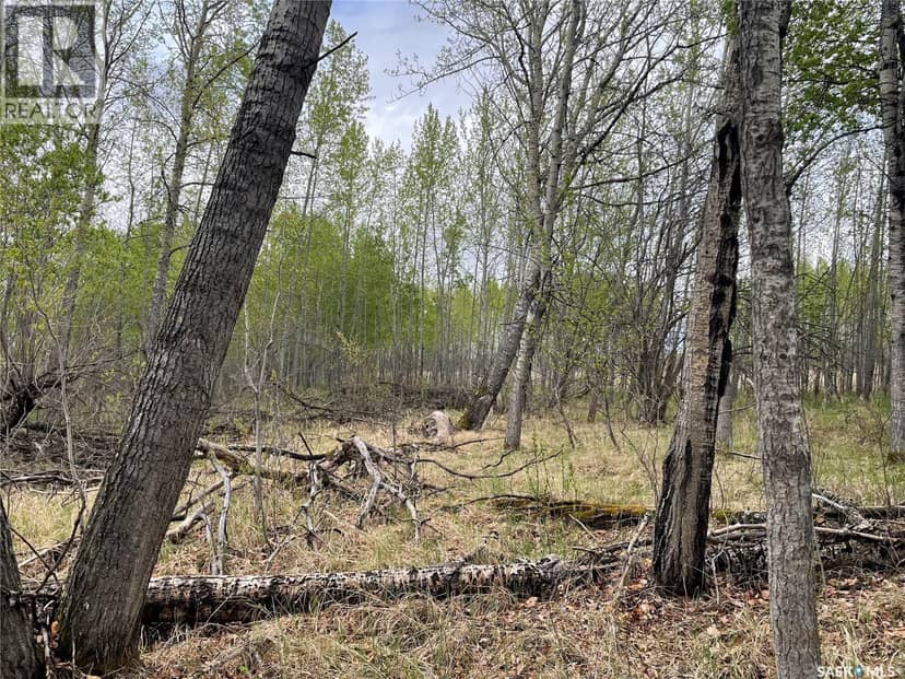 5.5km South of Dorintosh Lot 2 — photo 8 of 12