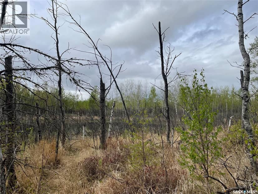 5.5km South of Dorintosh Lot 2 — photo 9 of 12