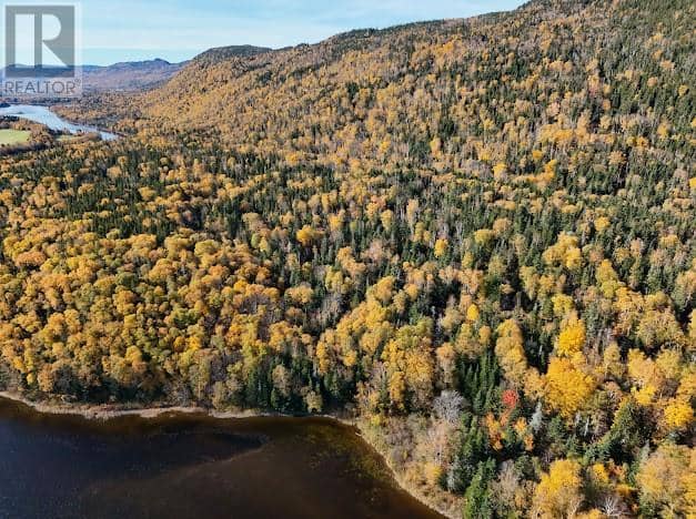 25 Riverside Drive Unit#Lot # 341, Humber Valley Resort, photo 7