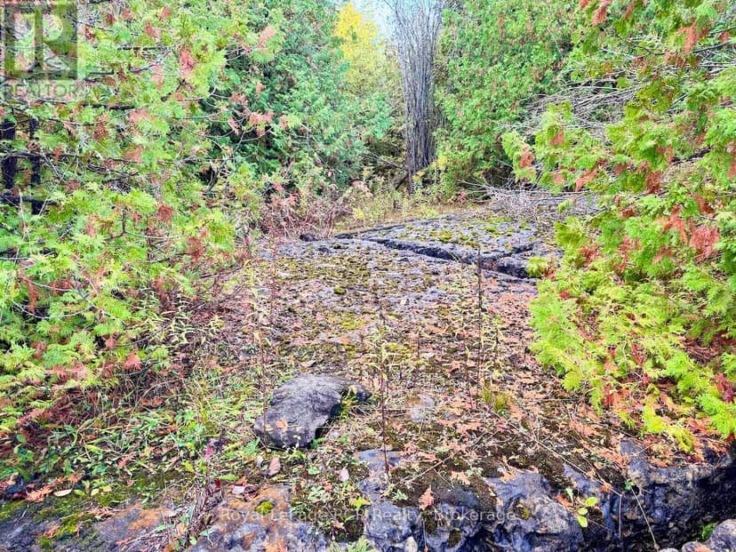 4887 Hwy 6 Highway — photo 18 of 23