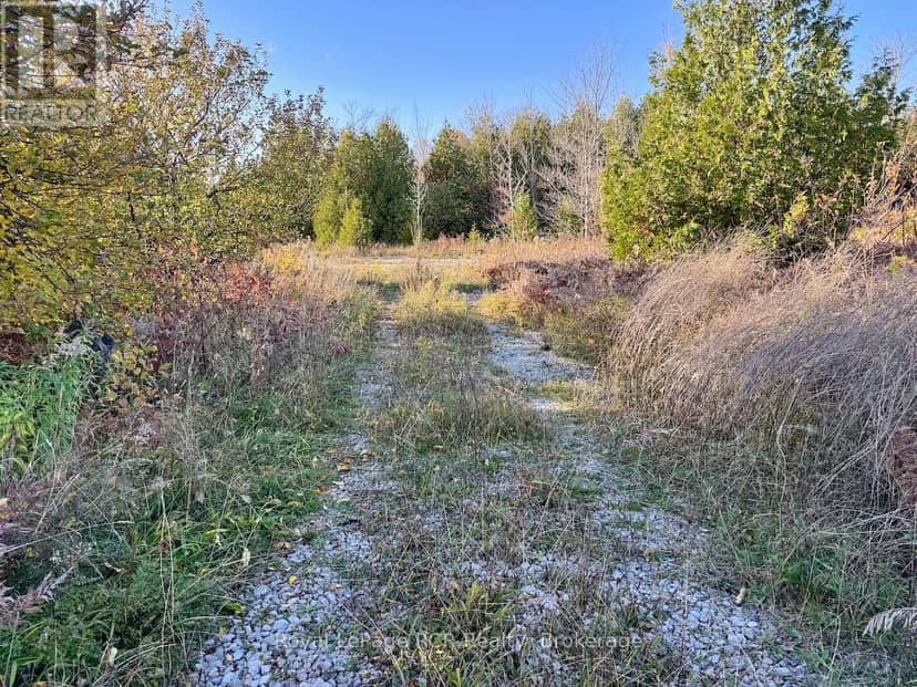 4887 Hwy 6 Highway — photo 8 of 23