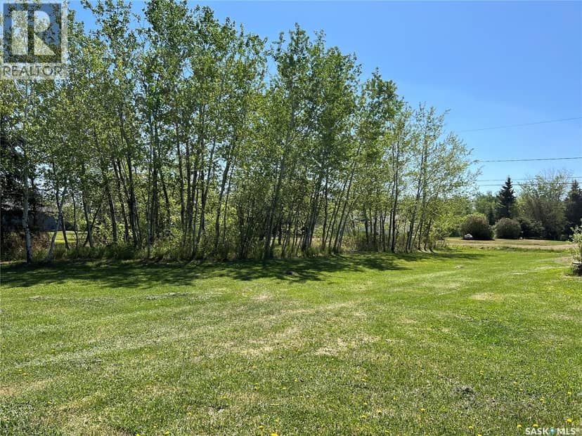 707 4th AVENUE E, Meadow Lake, photo 2