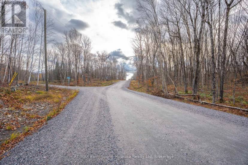 Part 7 Standing People Road — photo 19 of 22