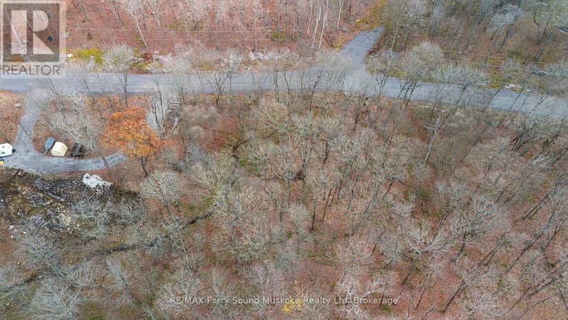 Part 7 Standing People Road — photo 12 of 22