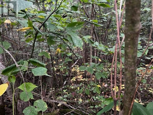 3 Shore Road — photo 2 of 13