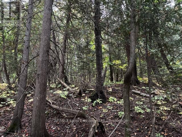 3 Shore Road — photo 7 of 13