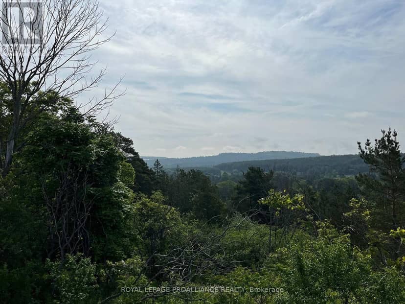 Lot 3 - 4836 45 Highway — photo 10 of 11