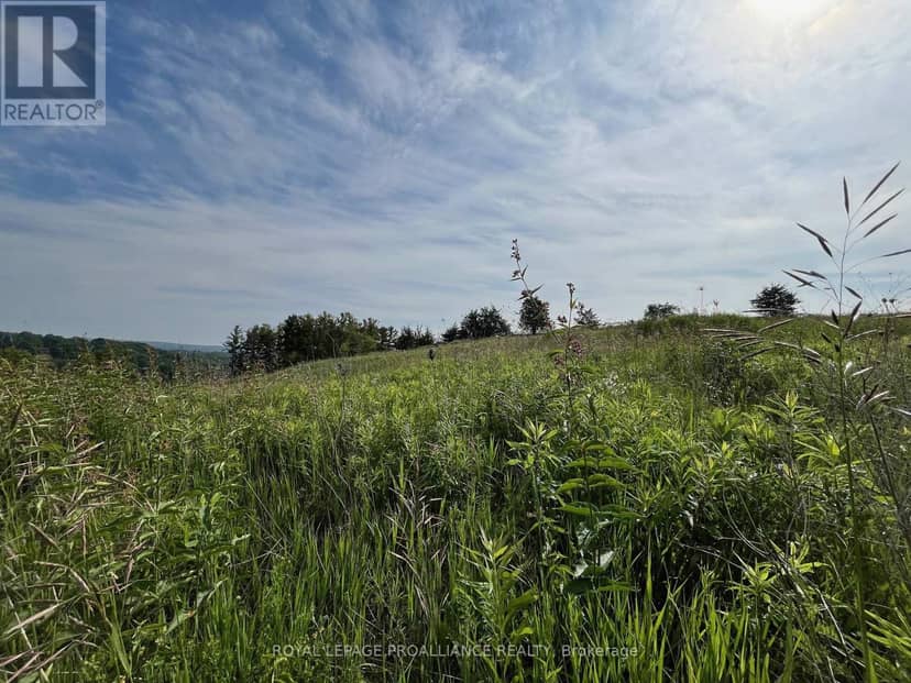 Lot 3 - 4836 45 Highway, Hamilton Township, photo 5