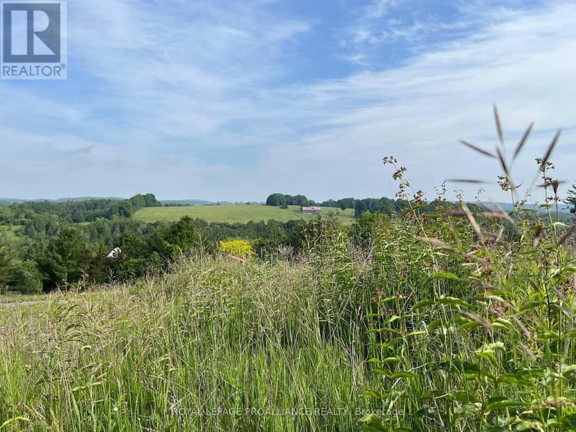 Lot 3 - 4836 45 Highway, Hamilton Township, photo 8
