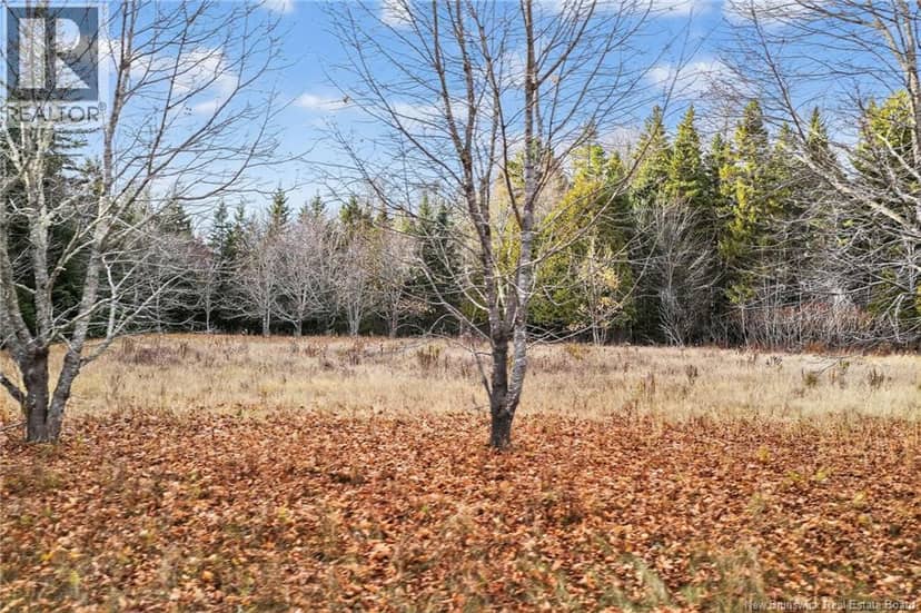 Lot Kay Road — photo 5 of 24